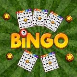 Bingo Revealer