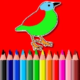 BTS Birds Coloring Book
