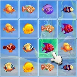 Fishing Puzzles