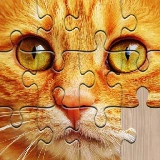 Unlimited Jigsaw Puzzles